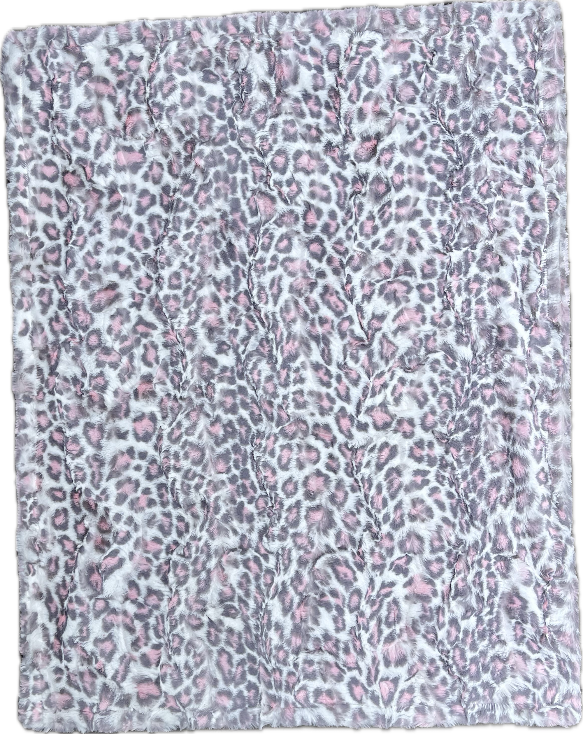 Baby Collection - Baby Cheetah