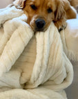 Vienna Collection Blanket with dog laying on it.